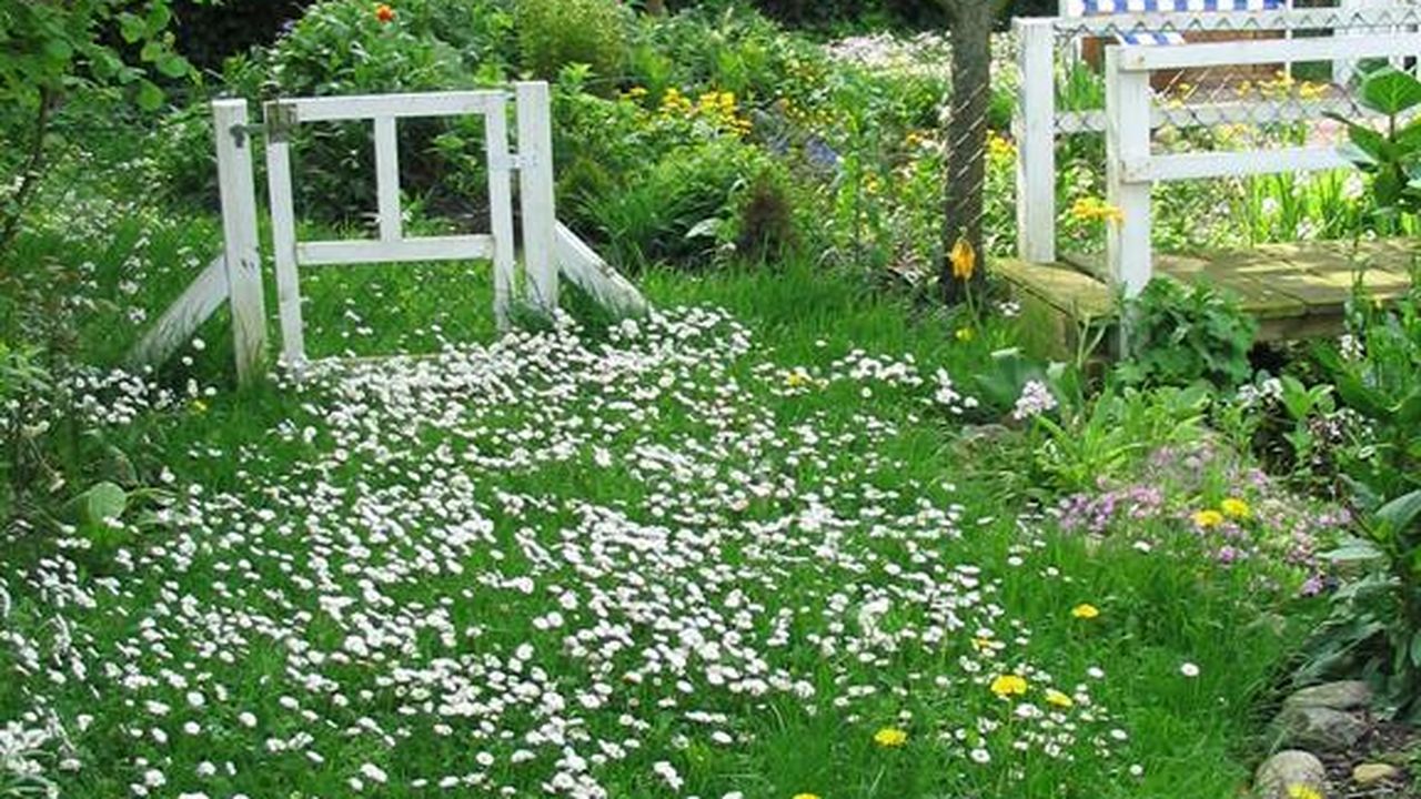 Ihr Erholungsort Ihr Erholungsort